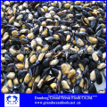 FROZEN COOKED MUSSEL MEAT